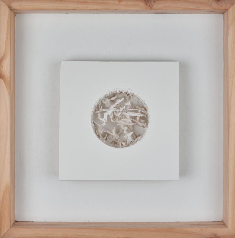 La reconstrucción de la naturaleza 1 Collage papel y fibra de algodón 60X60